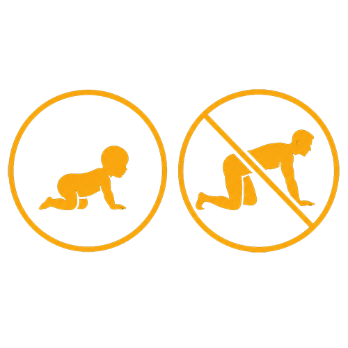 bebe