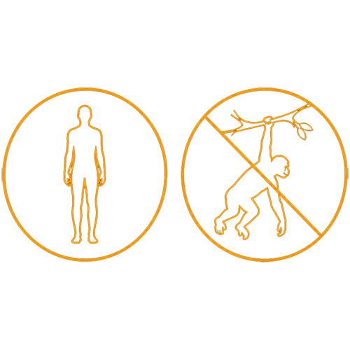 macaco3